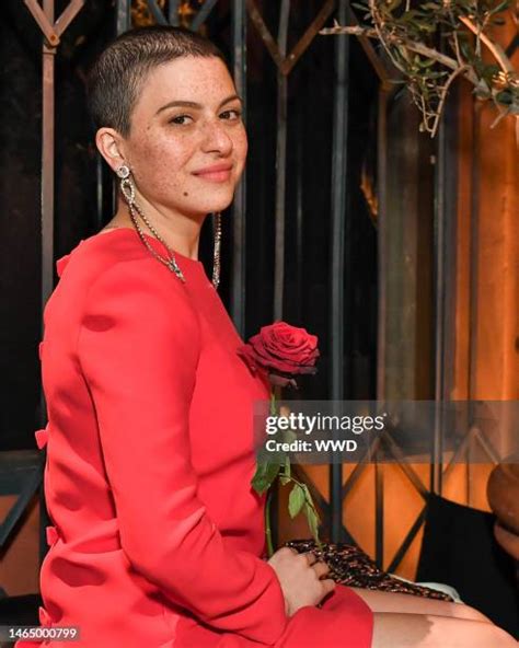 alia shawkat nide|2,894 Alia Shawkat Photos Stock Photos and High